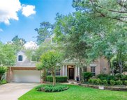 87 Frosted Pond Place, The Woodlands image