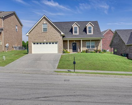 3030 Honeysuckle Dr, Spring Hill