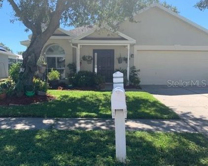 28422 Tall Grass Drive, Wesley Chapel