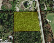 1095 Barefoot Williams RD, Naples image