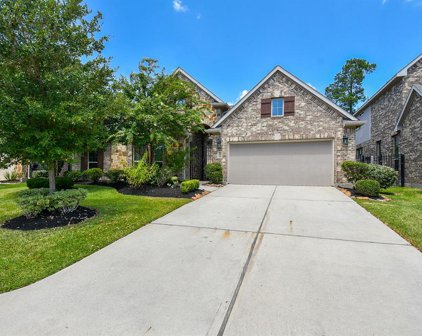 9935 Kirkstone Terrace Drive, Spring