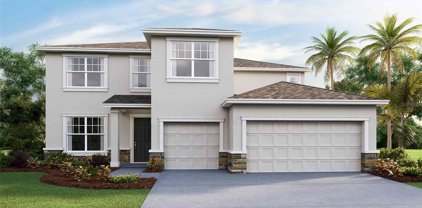 23216 Pachino Way, Lutz