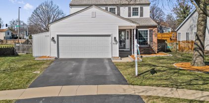 7032 Buckingham Circle, Woodridge