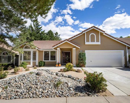 1566 Wildrye Dr, Reno