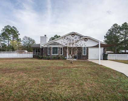 219 NE Whit Fraser Road, Hinesville