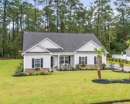 1009 Frances Parker Rd., Georgetown