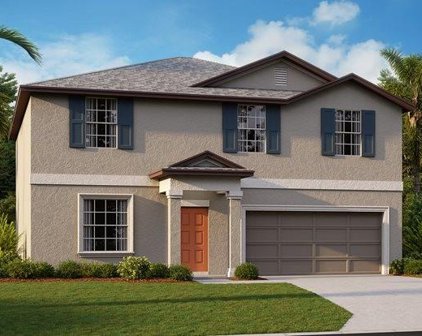2587 Red Egret Drive, Bartow