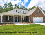 332 Daymark Drive, Chapin image