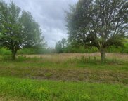 309 County Road 2069, Liberty image