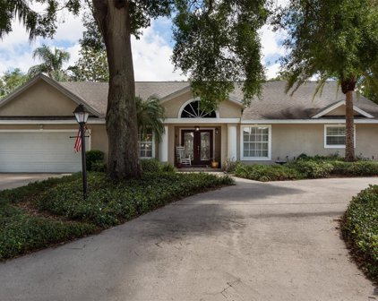 1714 Pinewood Drive, Clearwater