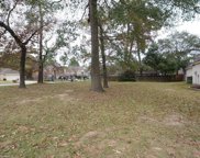 14234 Altair Drive, Tomball image