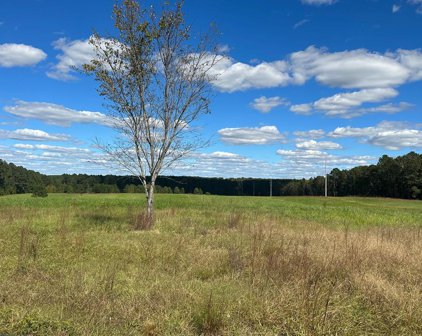 Highway 39, Chappells