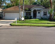137 Wood Dove Avenue, Tarpon Springs image