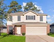 8830 Ancient Willow Drive, Tomball image