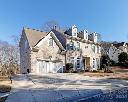 228 Black Mountain  Drive, Fort Mill