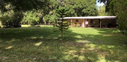 5407 Two Ninety Nine Drive, Land O' Lakes