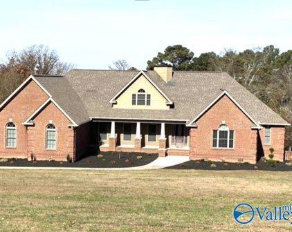 484 Overlook Road, Boaz