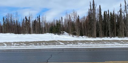 43406 S Parks Highway, Talkeetna