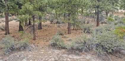 4670 Wagon Wheel Road, Carson City