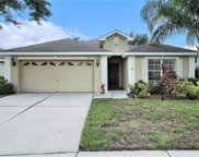 6111 Sweet William Terrace, Land O' Lakes image