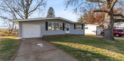 9115 Clarion  Drive, St Louis