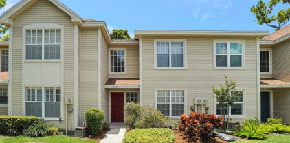 2158 Clover Hill Road, Palm Harbor