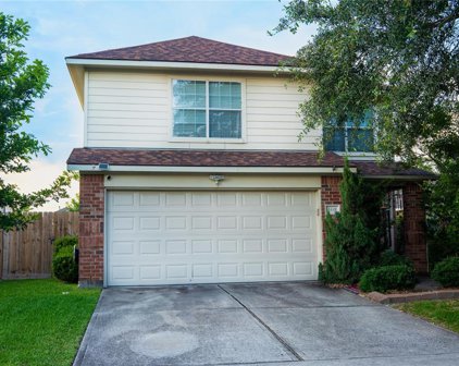 4419 Crossvine Avenue, Baytown