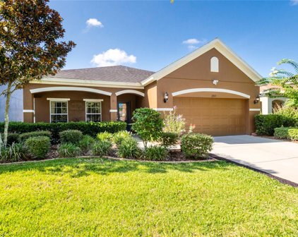 2722 Winglewood Circle, Lutz