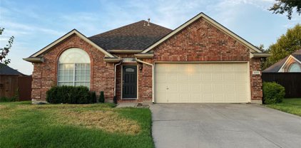 10119 Andre  Drive, Irving