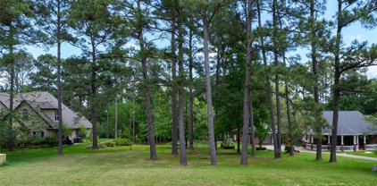 12868 Aries Loop, Willis