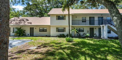 2122 Bradford Street Unit 521, Clearwater