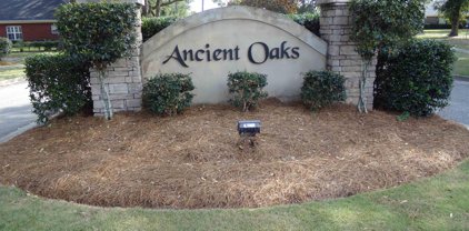 34 Ancient Oaks Circle, Gulf Shores