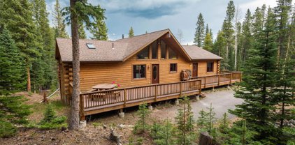 225 Bear Claw Lane, Evergreen