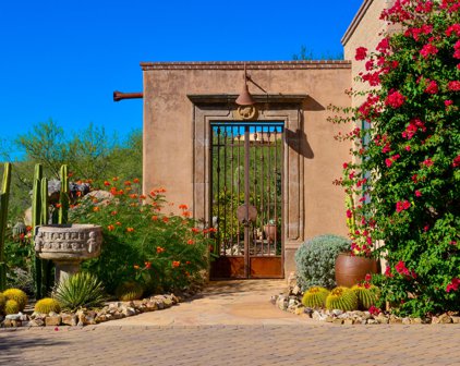 14680 N Dusty View, Oro Valley
