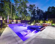 17122 Sages Ravine Drive, Humble image