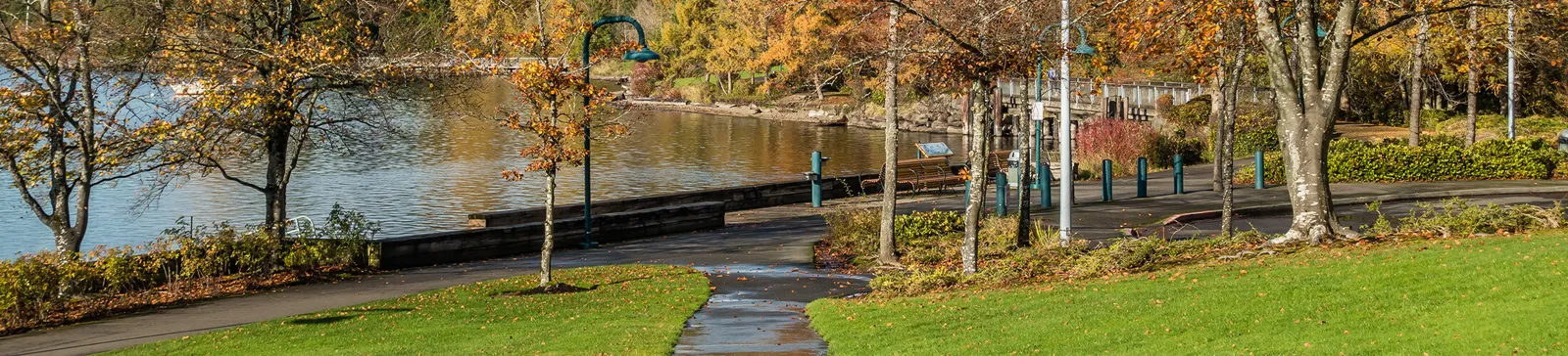 Renton Homes for Sale