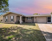 10217 Orchid Drive, Port Richey image