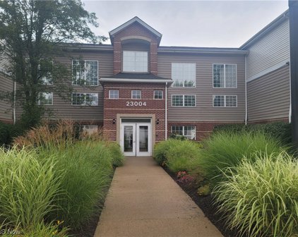 23004 Chandlers Lane Unit 4-227, Olmsted Falls