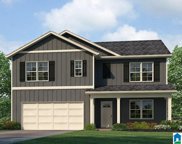 1213 Archers Cove Lane, Springville image