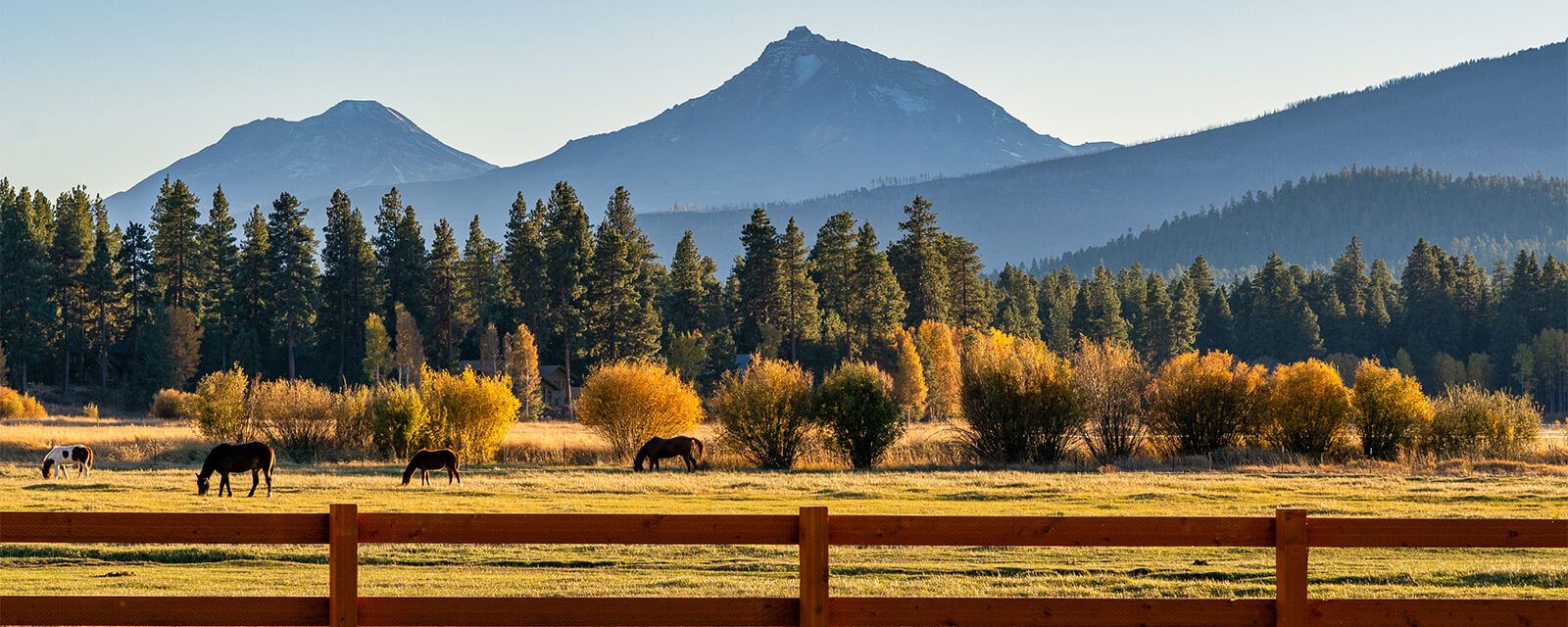 Denver Ranch Estates Real Estate