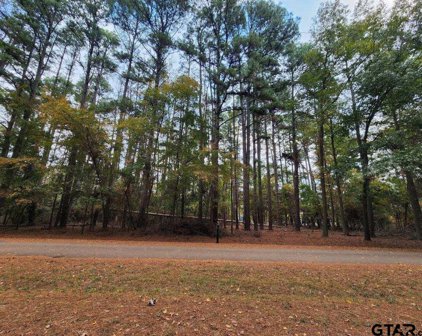 507 Wildwood Trl, Mt Vernon