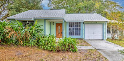 8209 Steamboat Lane, Tampa