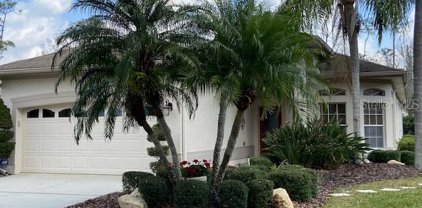 1499 Riverdale Drive, Oldsmar