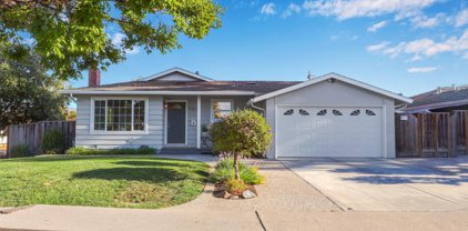 1410 Inskip Drive, Campbell