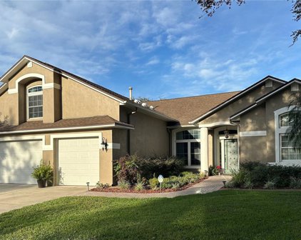 8629 Herons Cove Place, Tampa