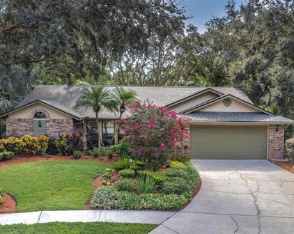 4005 Carenon Lane, Valrico