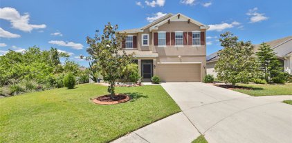 704 Parker Den Drive, Ruskin