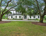 8827 Winged Bourne  None, Charlotte image