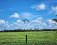 Clay Gully Road, Myakka City image