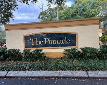 5602 Pinnacle Heights Circle Unit 302, Tampa